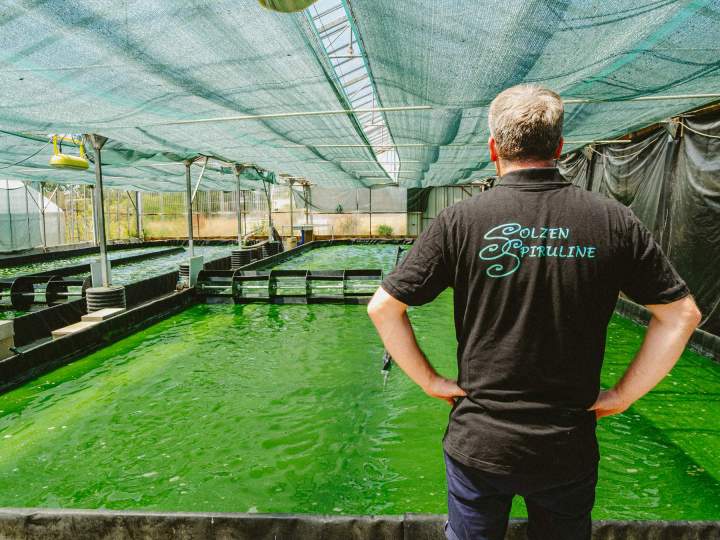 Producteur de spiruline - Soudan