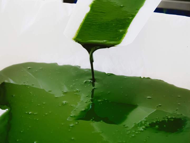 Producteur de spiruline - Soudan