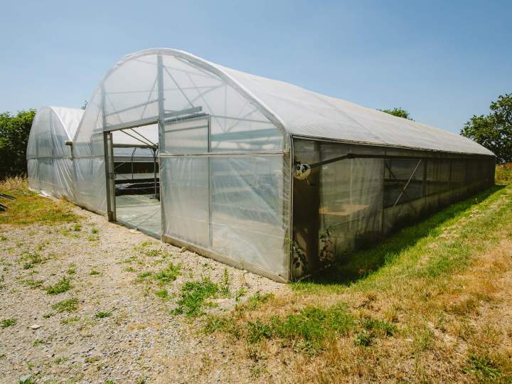 Producteur de spiruline - Soudan