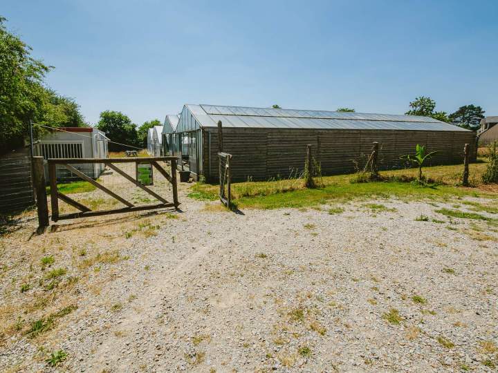 Producteur de spiruline - Soudan