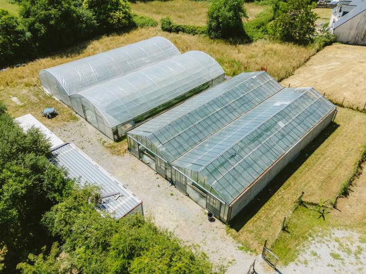 Producteur de spiruline - Soudan